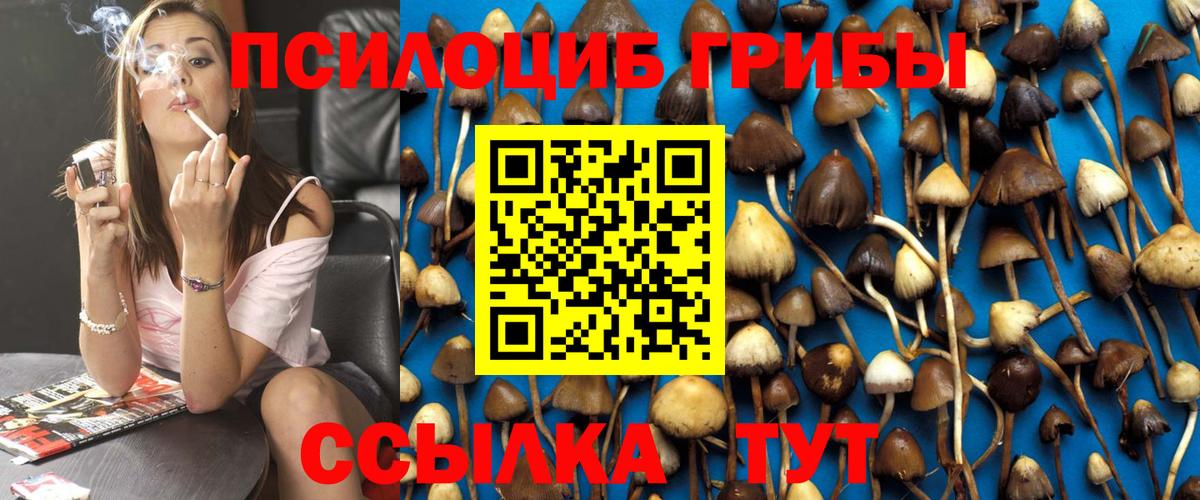 Зеленокумск  Галлюциногенные грибы мухоморы  где купить наркотик  Вход с VPN 